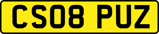 CS08PUZ