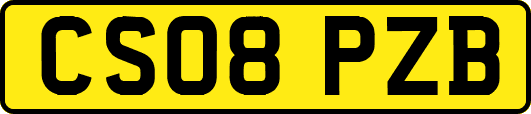 CS08PZB