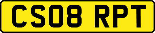 CS08RPT