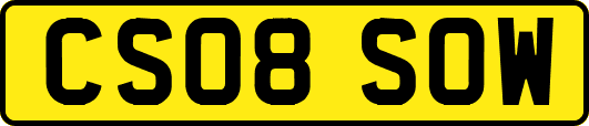 CS08SOW
