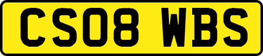 CS08WBS