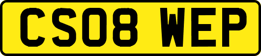 CS08WEP