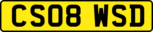 CS08WSD