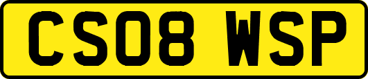 CS08WSP