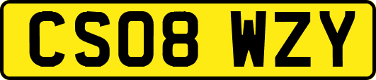 CS08WZY