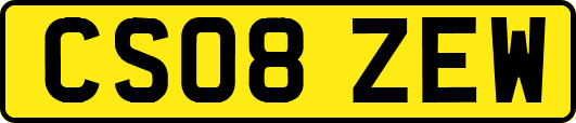 CS08ZEW