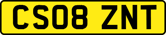 CS08ZNT
