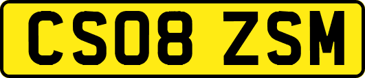 CS08ZSM