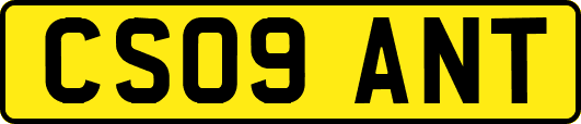 CS09ANT