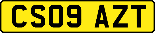 CS09AZT