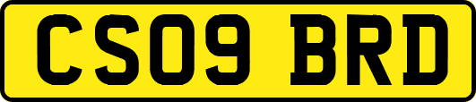 CS09BRD