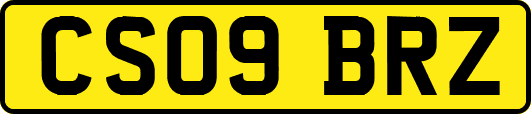 CS09BRZ