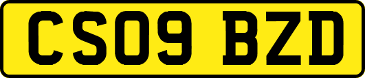 CS09BZD