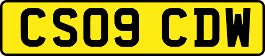 CS09CDW