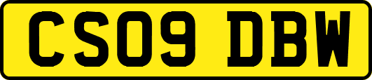 CS09DBW