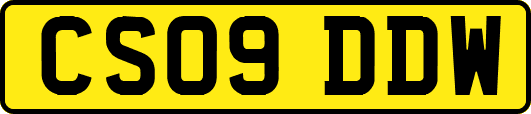 CS09DDW