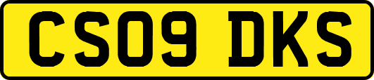 CS09DKS