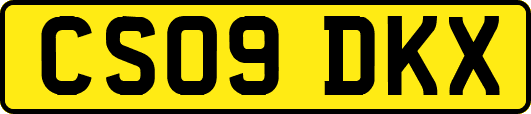 CS09DKX