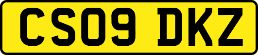 CS09DKZ