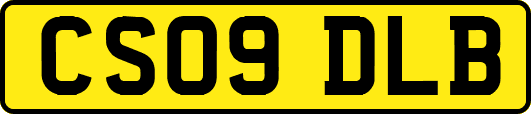 CS09DLB
