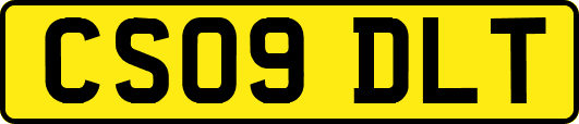 CS09DLT