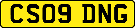 CS09DNG