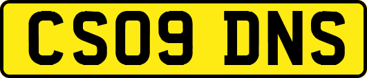 CS09DNS
