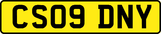 CS09DNY