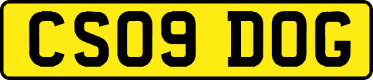 CS09DOG