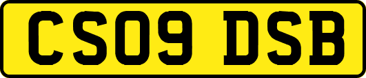 CS09DSB