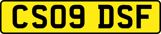 CS09DSF