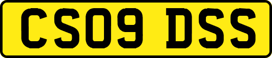 CS09DSS