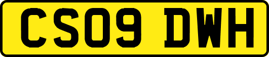 CS09DWH