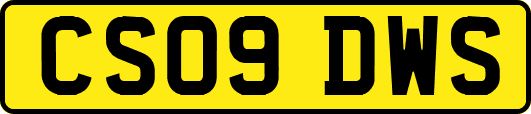 CS09DWS