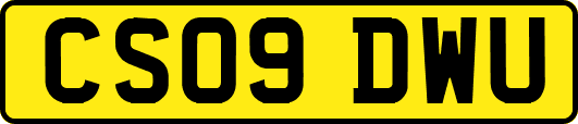 CS09DWU