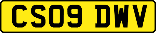CS09DWV