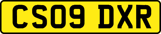 CS09DXR