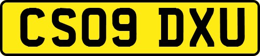CS09DXU