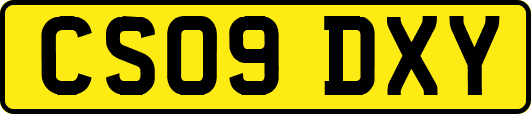CS09DXY