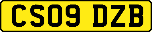 CS09DZB