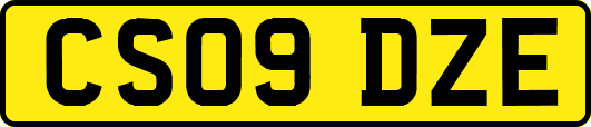 CS09DZE