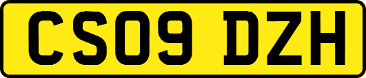 CS09DZH