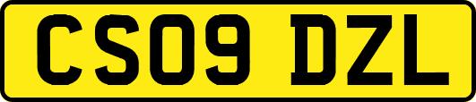 CS09DZL