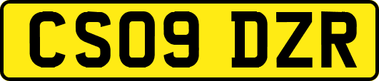 CS09DZR