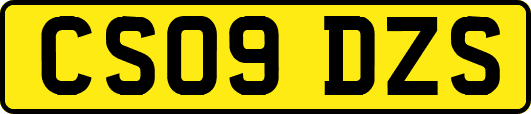 CS09DZS