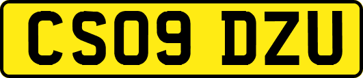 CS09DZU