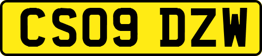 CS09DZW