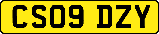 CS09DZY