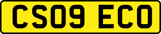 CS09ECO