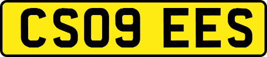 CS09EES